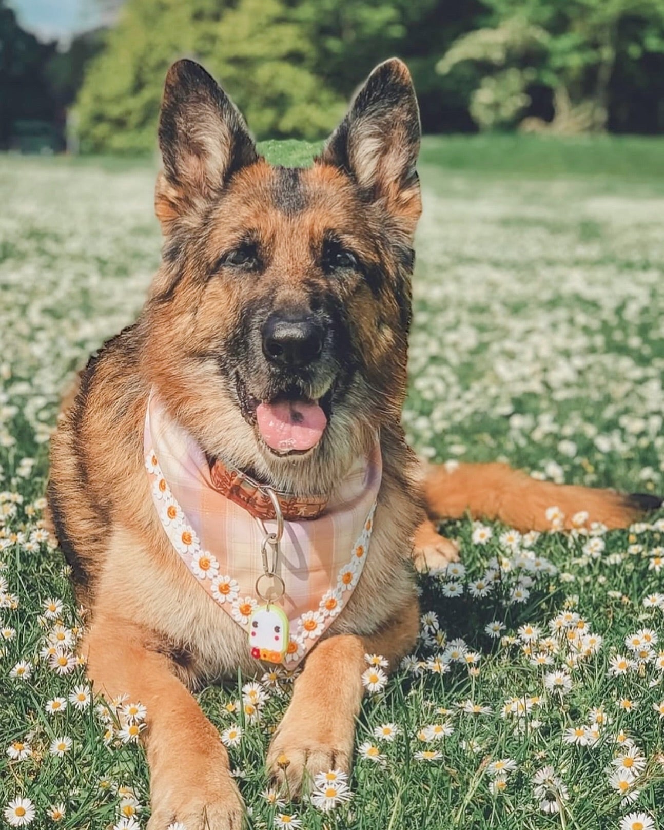 Bandanas