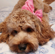 Load image into Gallery viewer, Fuchsia pink plaid Valentine's day dog bow tie/ sailor bow