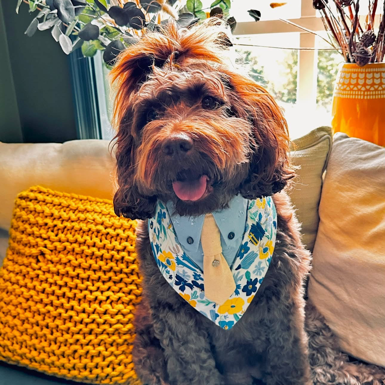 Size S Dog Tuxedo Bandana Sewing Pattern PDF, Instant Download
