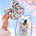 Purple Daisy Dog Bow for Spring: Bowtie or Sailor Bow