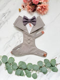 Bespoke Light Grey Dog Tuxedo Harness with Dark Grey Bow Tie, Formal Wedding Suit for Pets
