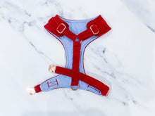 Load image into Gallery viewer, Bright red velvet dog harness