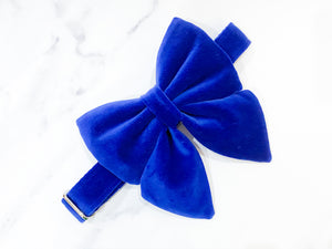 Royal blue velvet dog bow tie/ sailor bow