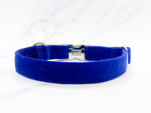 Load image into Gallery viewer, Royal blue velvet dog collar