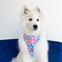 Load image into Gallery viewer, Rainbow Butterfly Dog harness