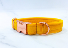 Load image into Gallery viewer, Yellow Velvet Collar
