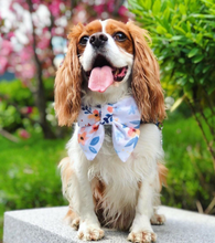 Load image into Gallery viewer, Flower blossom bow tie/ sailor bow