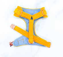 Load image into Gallery viewer, Yellow velvet dog harness bundle