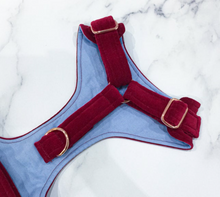 Load image into Gallery viewer, Burgundy red velvet dog harness bundle