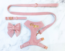Load image into Gallery viewer, Peony pink velvet dog harness bundle