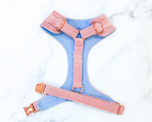 Load image into Gallery viewer, Peony pink velvet dog harness bundle