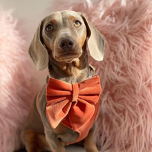 Load image into Gallery viewer, Cinnamon velvet bow tie/ sailor bow