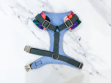 Load image into Gallery viewer, Mountain and moon in forest harness bundle