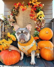 Load image into Gallery viewer, Pumpkin spice harness