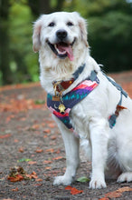 Load image into Gallery viewer, Mountain and moon in forest harness bundle