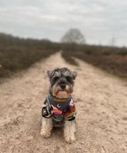 Load image into Gallery viewer, Mountain and moon in forest harness bundle