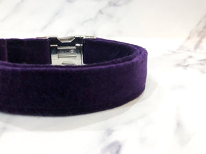Deep violet velvet collar