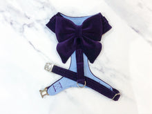 Load image into Gallery viewer, Deep violet velvet dog harness bundle