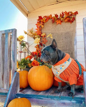 Load image into Gallery viewer, Pumpkin spice harness