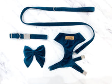 Load image into Gallery viewer, Teal blue velvet dog harness bundle