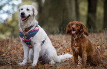 Load image into Gallery viewer, Mountain and moon in forest harness bundle