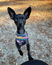 Load image into Gallery viewer, Mountain and moon in forest harness bundle