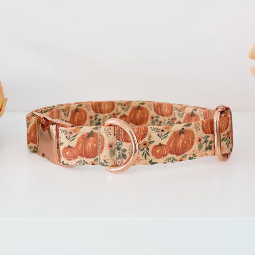Boho Pumpkin Patch Pet Martingale Collar