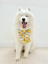 Load image into Gallery viewer, Sunflower Dreams Dog Sailor Bow