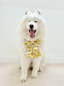 Sunflower Dreams Dog Sailor Bow