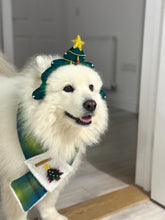 Load image into Gallery viewer, Green Monster Inspired Christmas Dog Scarf