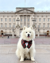 Load image into Gallery viewer, Christmas Red and Green Plaid Dog Tuxedo