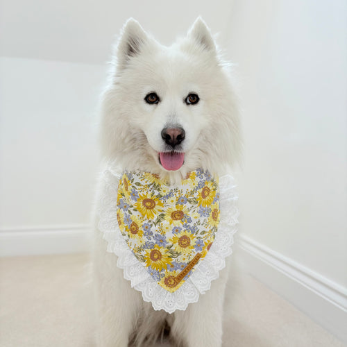Sunflower Dreams Dog Bandana with Ruffle