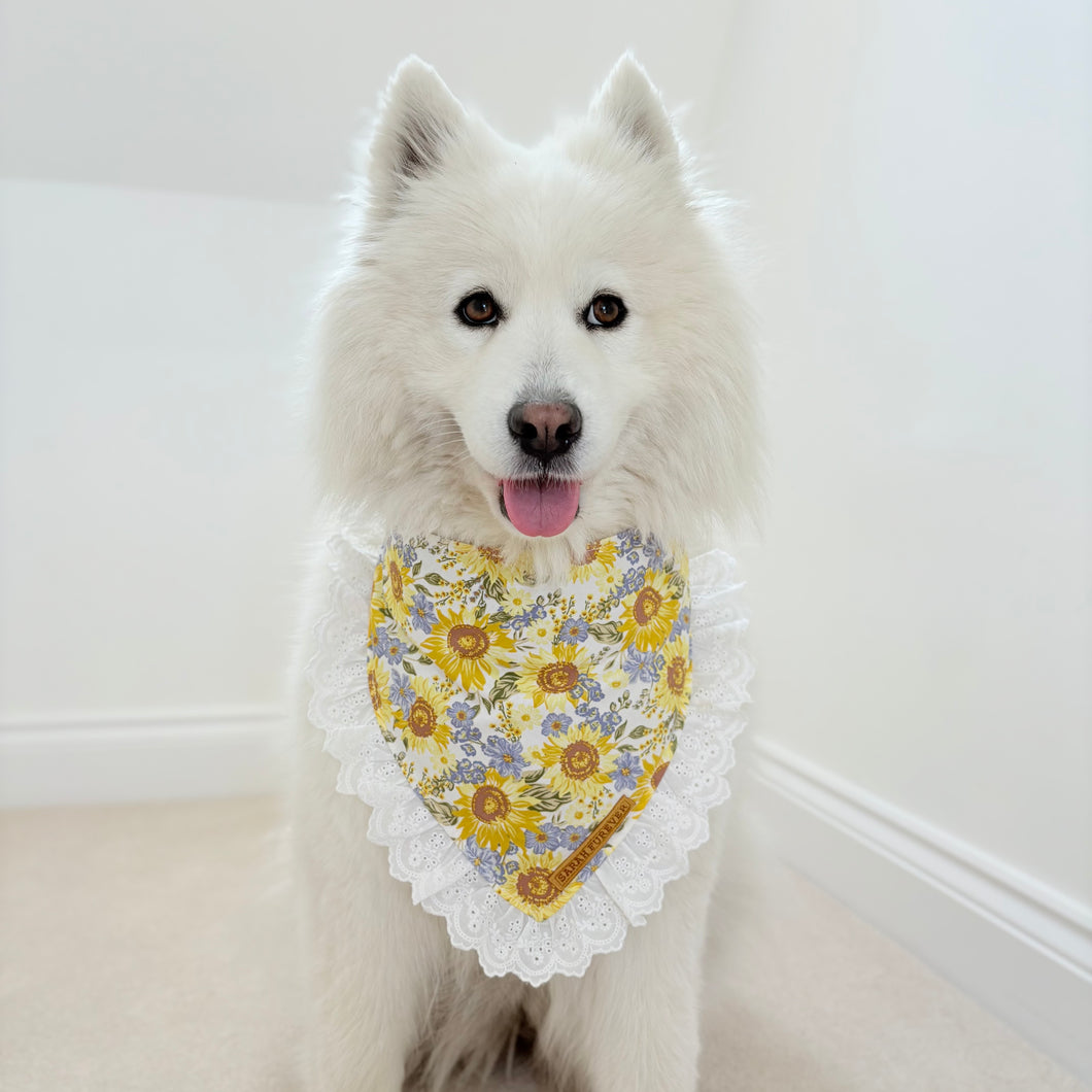Sunflower Dreams Dog Bandana with Ruffle
