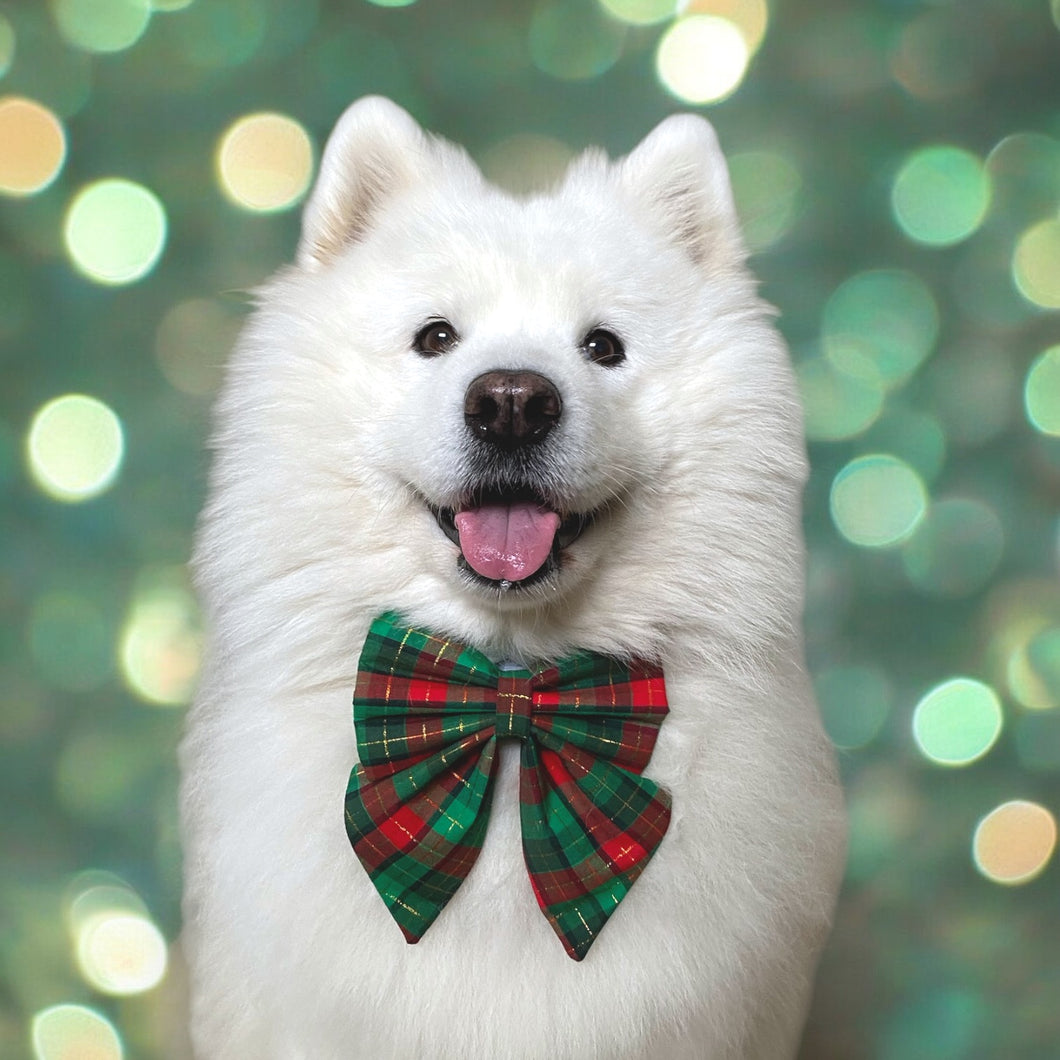 Christmas Plaid Dog Sailor Bow