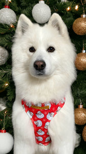 Father Christmas Dog Harness
