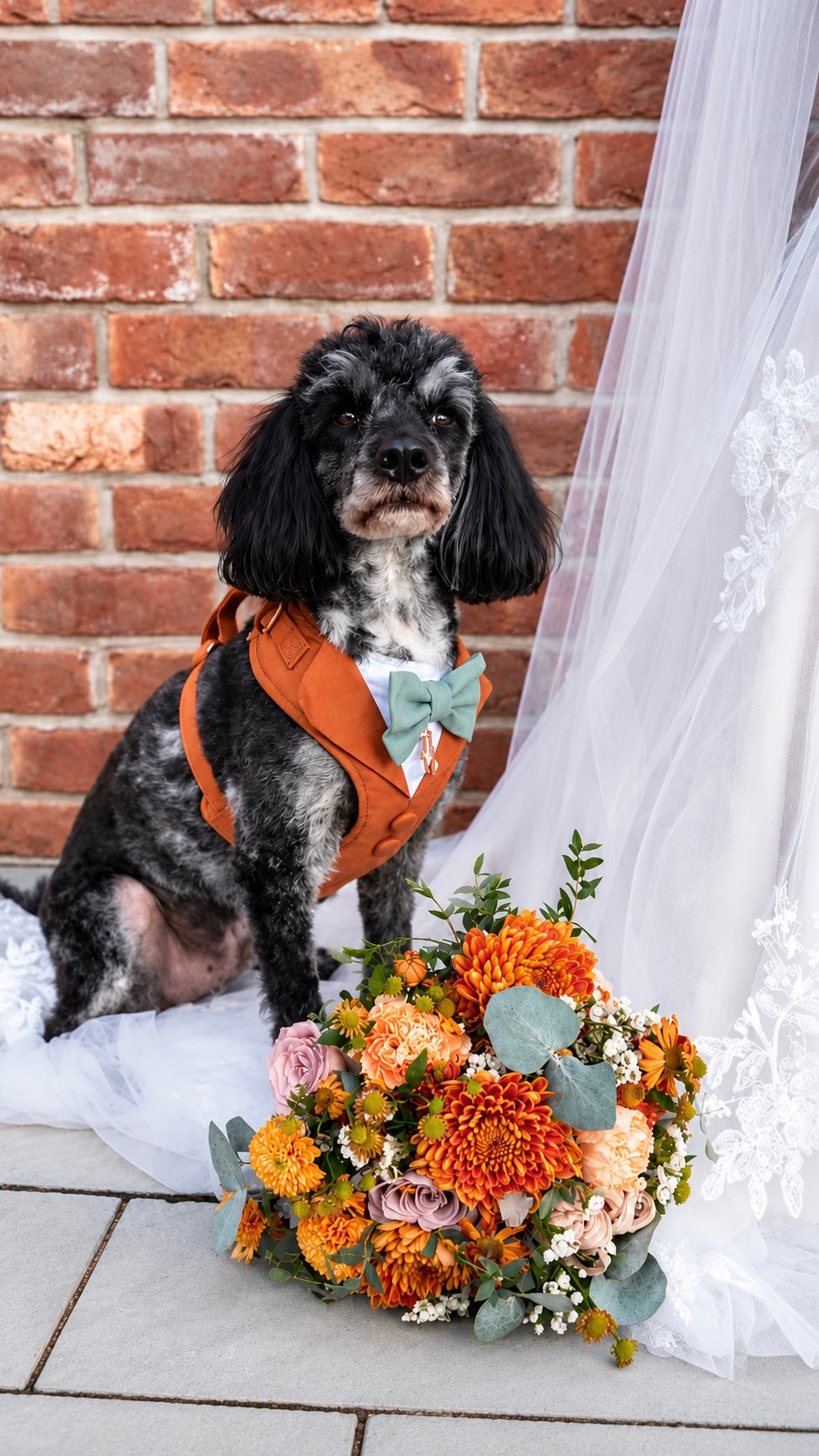Bespoke Terracotta Dog Tuxedo Harness: Outfit for Dog Ring Bearer