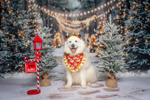 Load image into Gallery viewer, Father Christmas Dog Bandana with Golden Ruffles