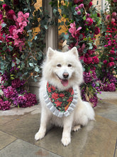 Load image into Gallery viewer, Christmas Poinsettia Dog Bandana with Silver Ruffles