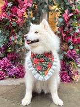 Load image into Gallery viewer, Christmas Poinsettia Dog Bandana with Silver Ruffles