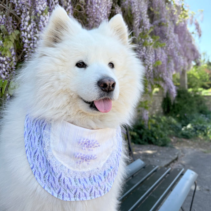 Lavender Print Dog Bandana