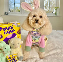 Load image into Gallery viewer, Easter Dream Eggs Adjustable Dog Harness