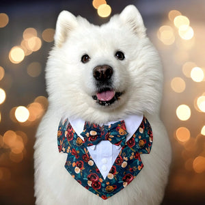 Winter Floral Dog Tuxedo