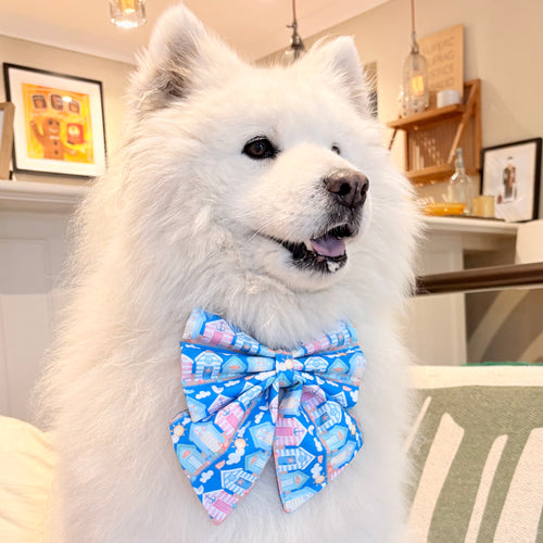 Wells Next the Sea Dog Bow – available in sailor bow and bow tie styles