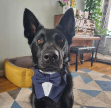 Load image into Gallery viewer, Navy Dog Tuxedo Bandana