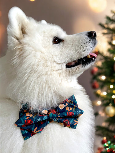 Winter Floral Dog Diamond Bow Tie