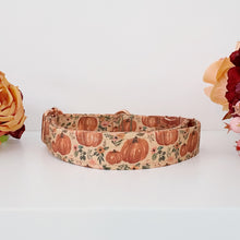 Load image into Gallery viewer, Boho Pumpkin Patch Pet Martingale Collar