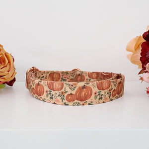 Boho Pumpkin Patch Pet Martingale Collar