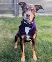 Load image into Gallery viewer, Dark Purple Velvet Dog Tuxedo Bandana