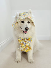 Load image into Gallery viewer, Sunflower Dreams Dog Sailor Bow