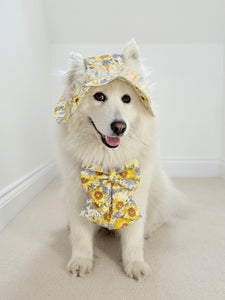 Sunflower Dreams Dog Sailor Bow